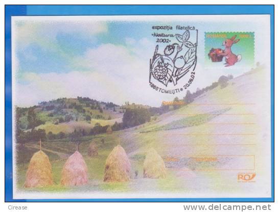 Vegetation Landscape Of The Country, Rabbit Special Cancellation Romania Postal Stationery  2002 - Rabbits