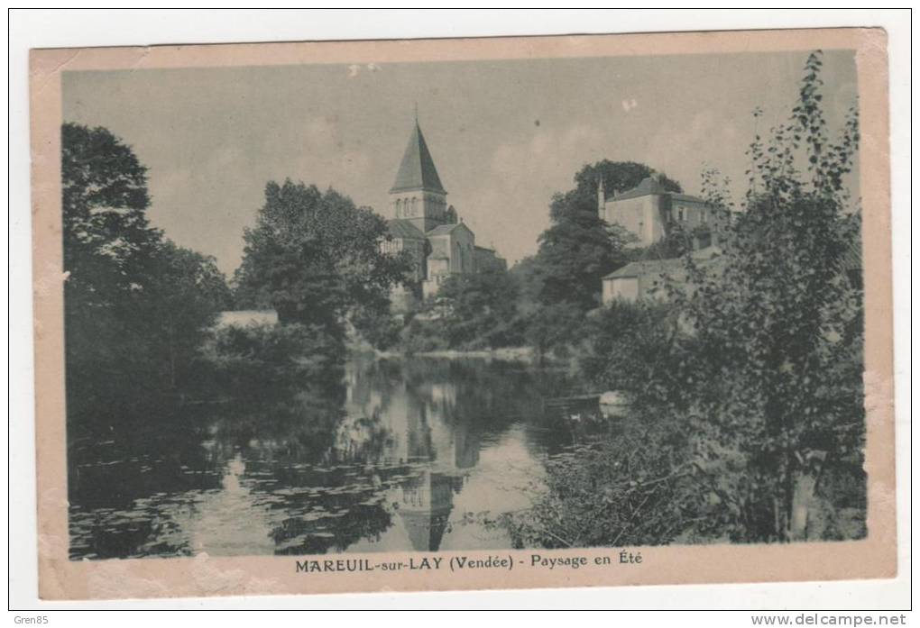 CPSM MAREUIL SUR LAY, PAYSAGE EN ETE, Format CPA, VENDEE 85 - Mareuil Sur Lay Dissais