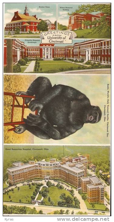 U.S.A . Folder of CINCINNATI . Dépliant  20 vues 10X15 dont SUSIE World´s only trained Gorilla . 193?