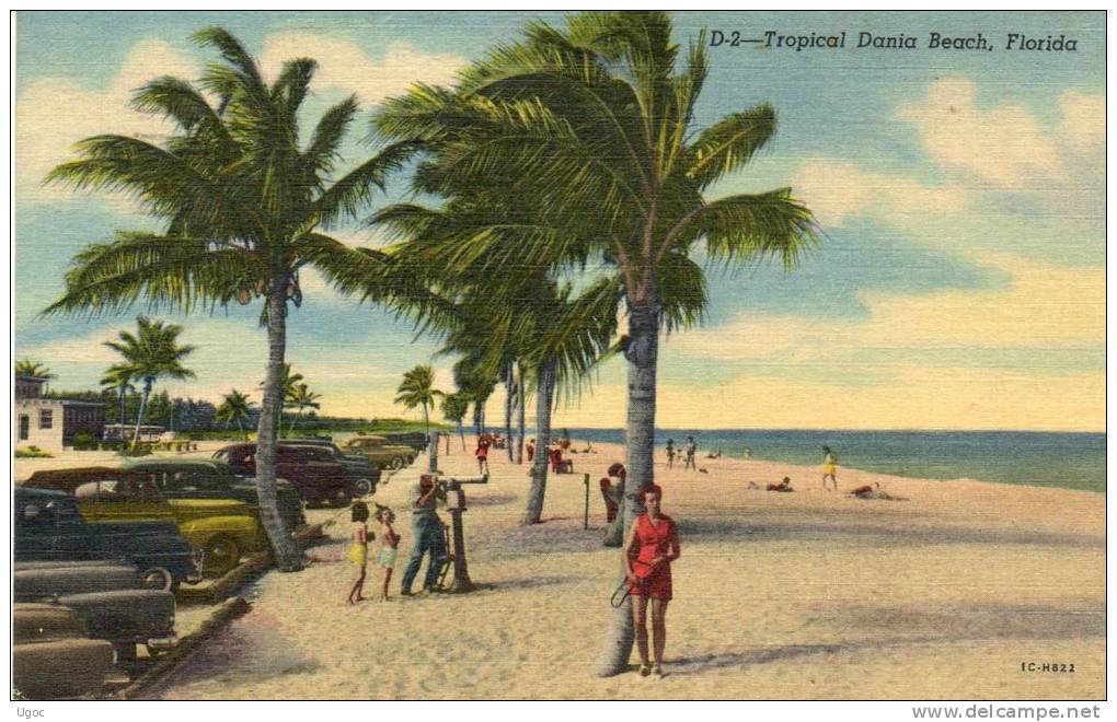 CPA - Tropical Dania Beach, FLORIDA - 636 - Palm Beach