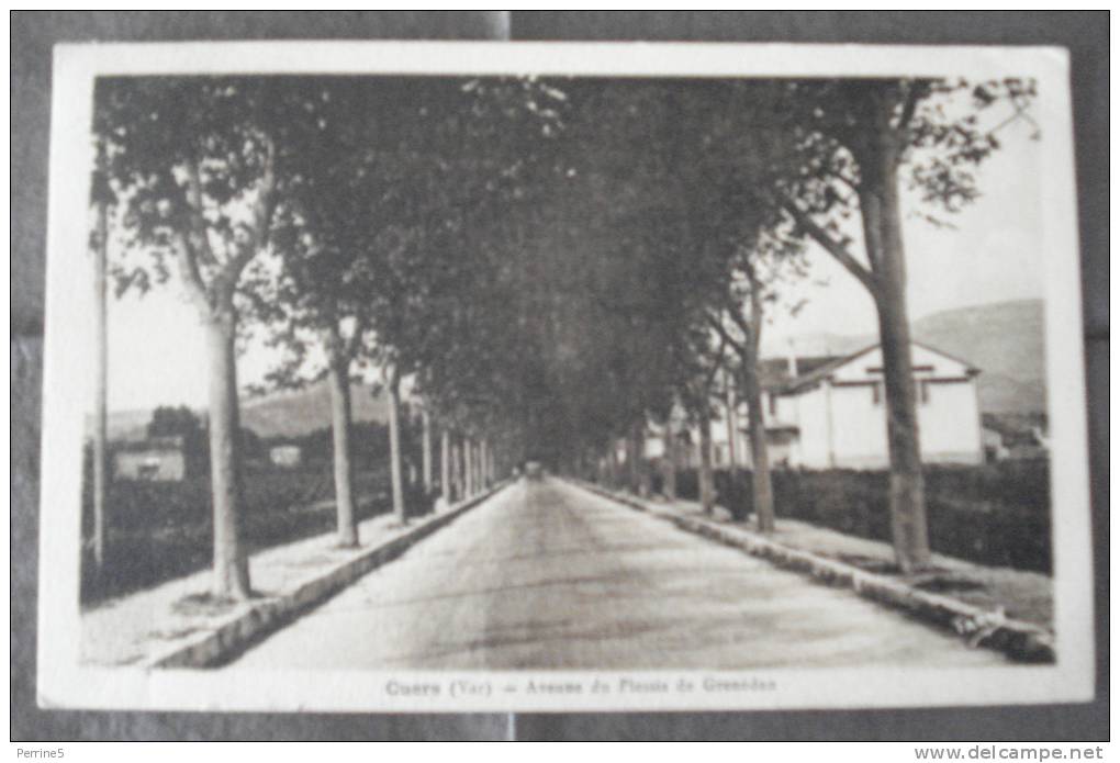 CUERS - Avenue Du Plessis De Grenédan - Cuers