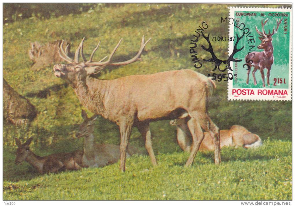 DEER,CARTES MAXIMUM,MAXICARD,CM,1987,ROMANIA - Gibier