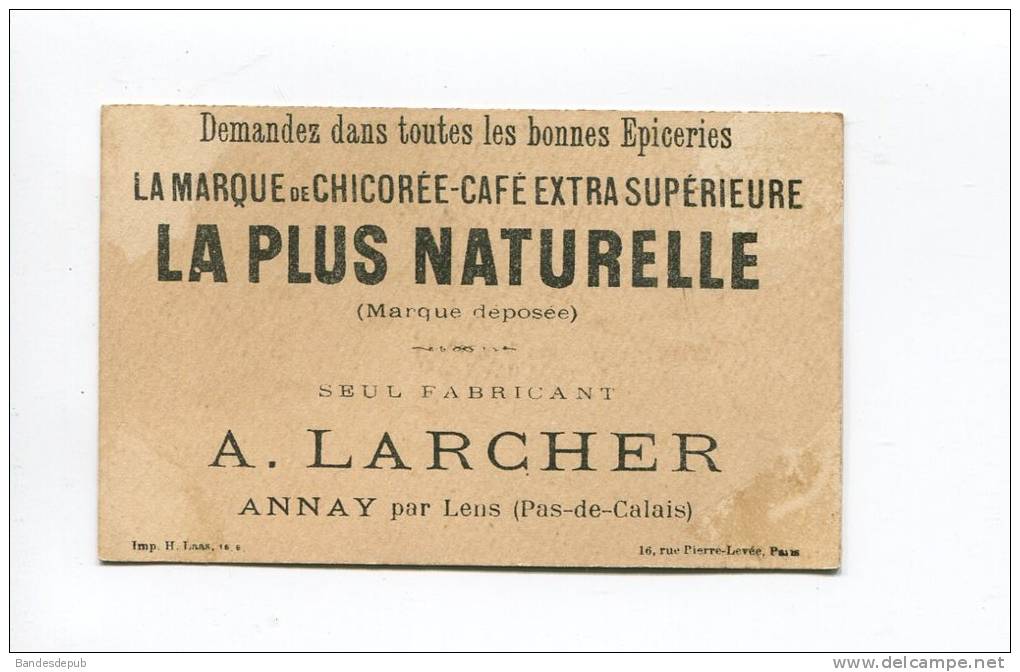 CHICOREE LARCHER  ANNAY PAR LENSS PAS DE CALAIS  CHROMO DOREE LAAS GYMNASTIQUE POMPIER SAUT PERILLEUX - Autres & Non Classés