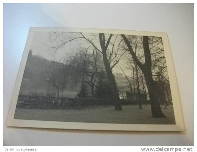 Torino Parco Del Valentino Fiume Po Fotografica - Fiume Po