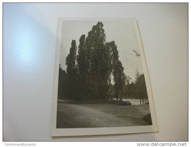 Torino Parco Del Valentino  Fotografica - Parken & Tuinen