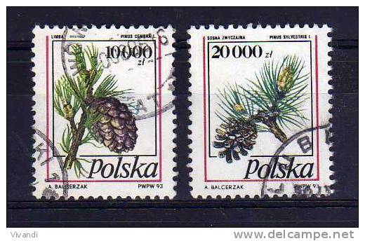 Poland - 1993 - Pine Cones - Used - Oblitérés