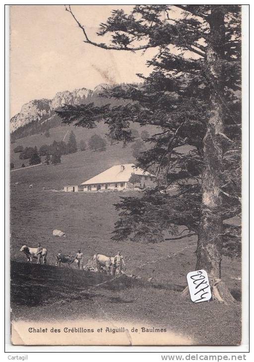 CPA -22874 - Suisse -A Localiser -Glacier Des Grébillons Et Aiguilles De Baulmes ( En L'état - Plis Et Déchirure) - Baulmes