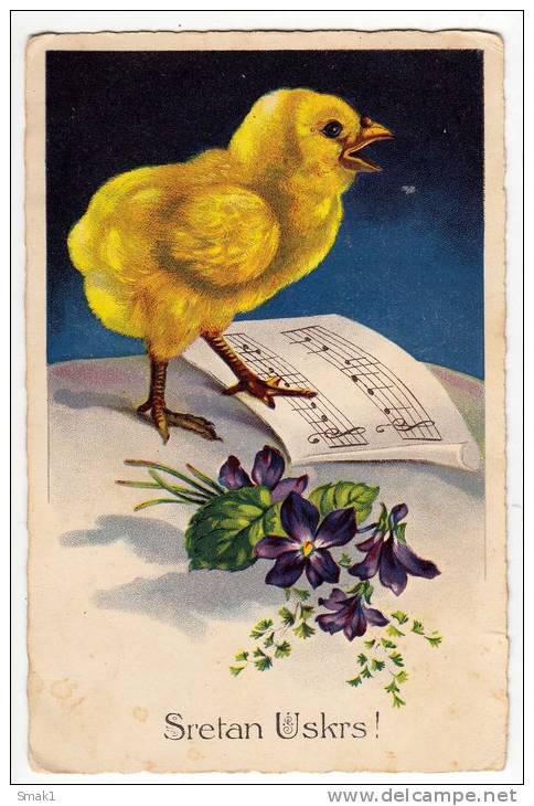 EASTER CHICKEN FLOWERS AND NOTES Nr. 677 OLD POSTCARD - Easter