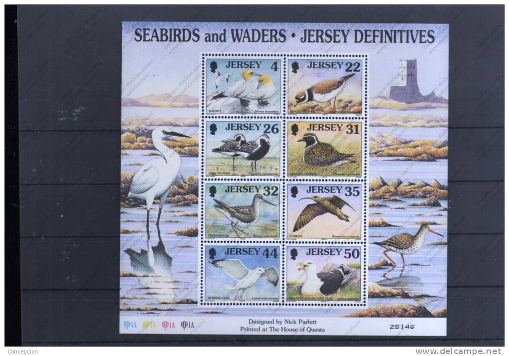 JERSEY Nº HB 22 - Marine Web-footed Birds