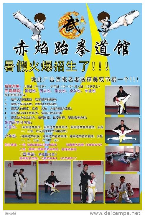 SA30-075  @      Taekwondo  , Postal Stationery -Articles Postaux -- Postsache F - Non Classificati
