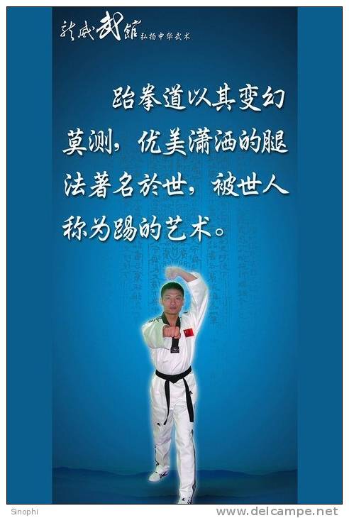 SA30-070  @      Taekwondo  , Postal Stationery -Articles Postaux -- Postsache F - Non Classificati