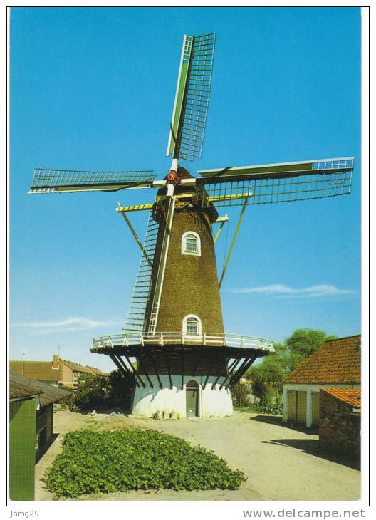 Nederland/Holland, Westkapelle, Molen "De Noorman", Stellingmolen, Ca. 1980 - Westkapelle