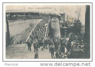 Belgique. Anvers. La Grève Des Dockers. Embarquement Des Rats Anglais Pour Leur Logement, Le S.S Cambroman. 1907 - Strikes