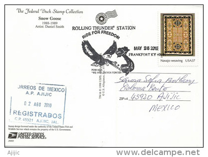 USA. Oie Des Neiges.CP Federal Duck Stamp Collection. Recto-verso. Obliteration Frankfort. Kentucky - Ganzen