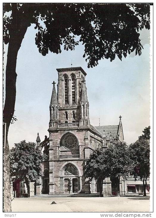 57 - Moselle - PHALSBOURG - L'Eglise - Dentelée - Format 10,5  X  14,9 - Phalsbourg