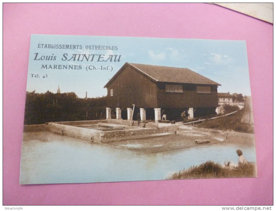 CPA établissement Ostréicoles Louis Sainteau. Marennes. - Marennes