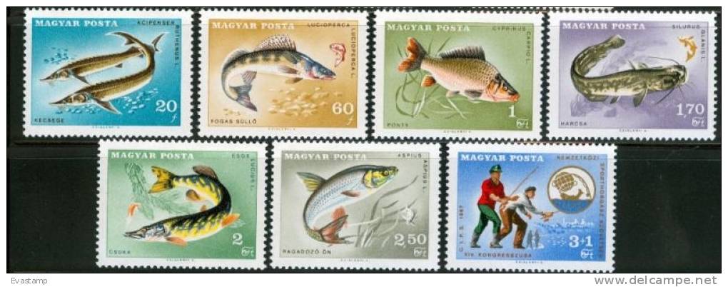 HUNGARY - 1967.Fishes And C.I.P.S.Congress  Cpl.Set MNH! - Nuovi