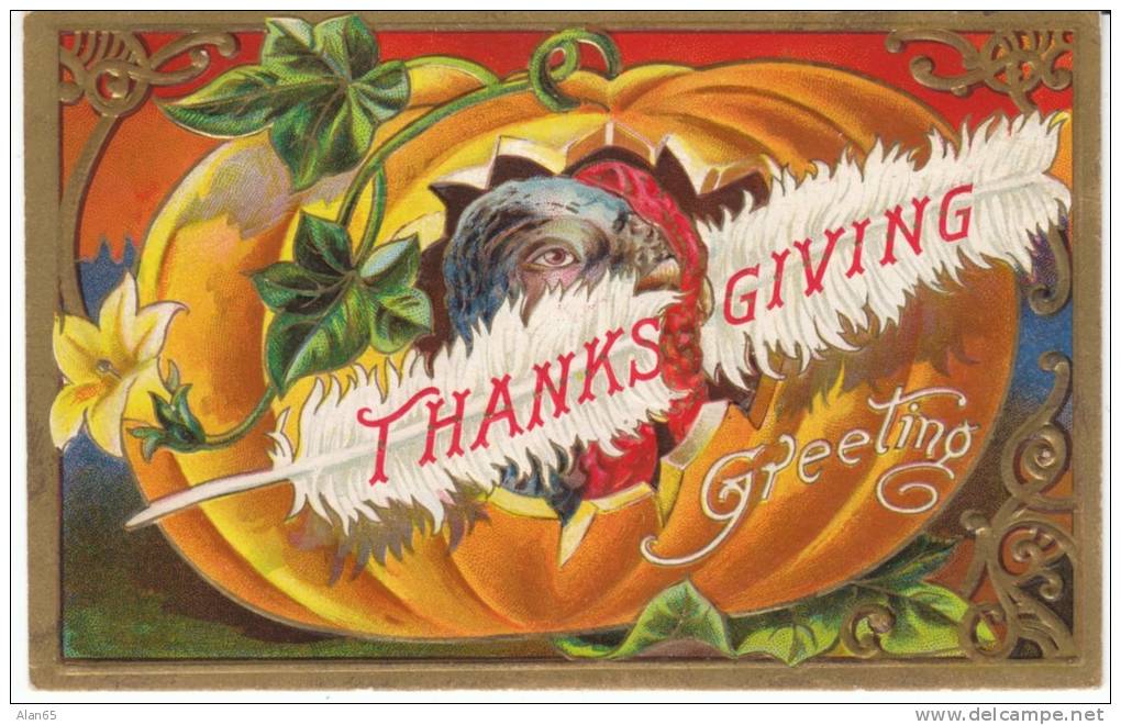 Thanksgiving Greetings Turkey In Pumpkin, C1900s Vintage Embossed Postcard - Thanksgiving