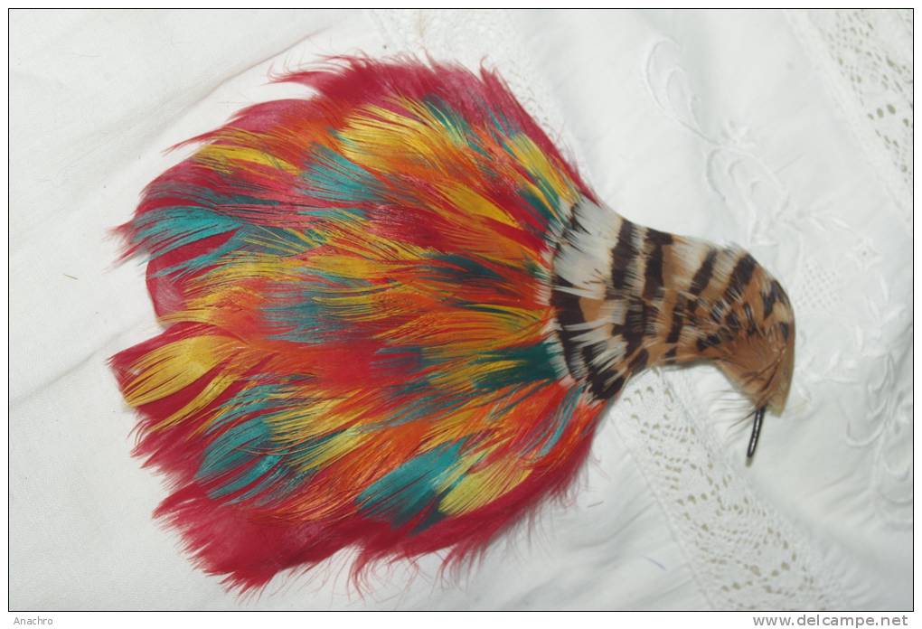 PLUME à CHAPEAU Tige Tête D' OISEAU  COIFFE Couleurs Chatoyantes 14 Cms - Headdresses, Hats, Caps