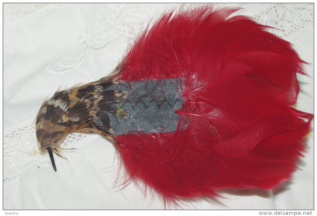 PLUME à CHAPEAU Tige Tête D' OISEAU  COIFFE Couleurs Chatoyantes 14 Cms - Hauben, Mützen, Hüte