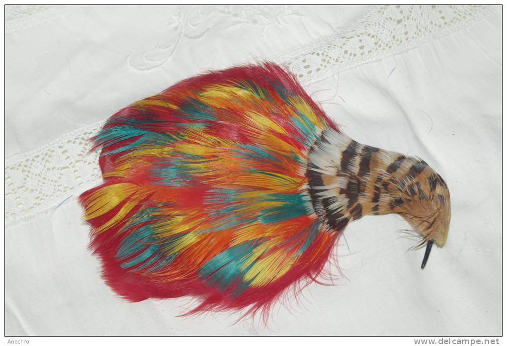 PLUME à CHAPEAU Tige Tête D' OISEAU  COIFFE Couleurs Chatoyantes 14 Cms - Hauben, Mützen, Hüte