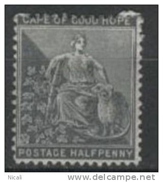 CAPE OF GOOD HOPE 1871 1/2d Grey-black SG28 M HS64 - Cape Of Good Hope (1853-1904)