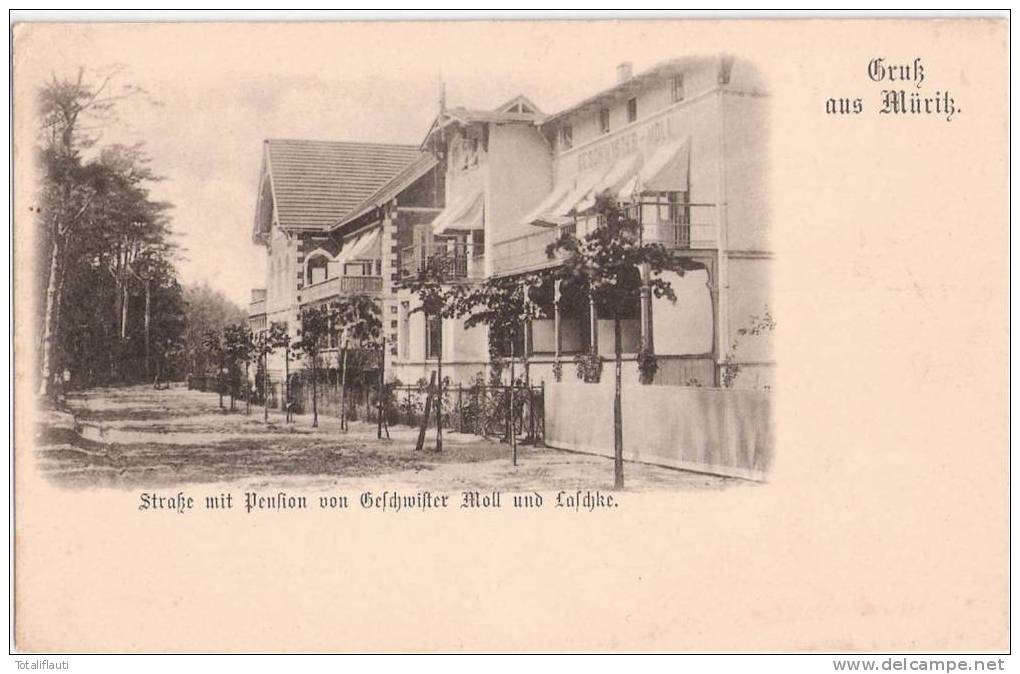 Gruß Aus Graal Müritz Straße M Pension Von Geschwister Moll Und Laschke Um 1905 TOP-Erhaltung Ungeteilte Rückseite Ungel - Graal-Müritz