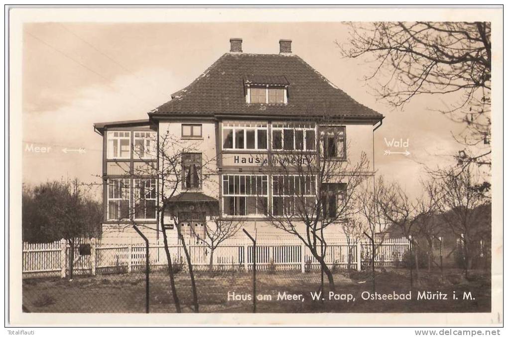 Ostseebad Graal Müritz Haus Am Meer W Paap Pfeil Nach Links Wald Rechts Ungelaufen - Graal-Müritz