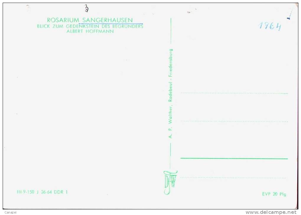 AK Sangerhausen, Rosarium, Ung, 1964 - Sangerhausen
