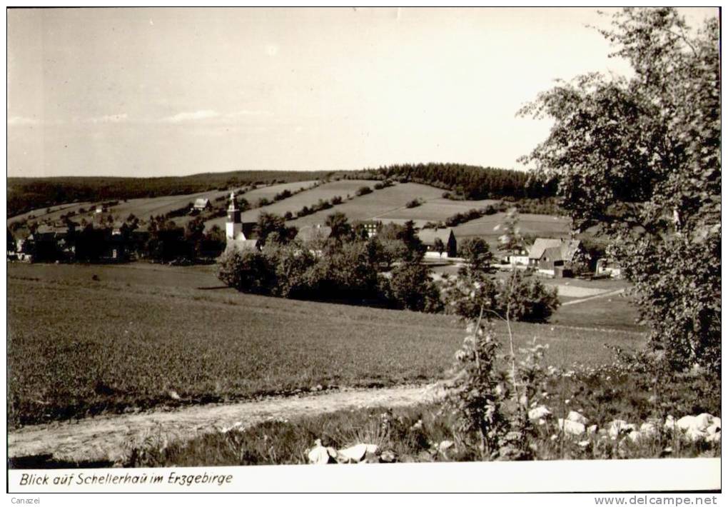 AK Schellerhau/Kr. Dippoldiswalde, Gel, 1964 - Schellerhau