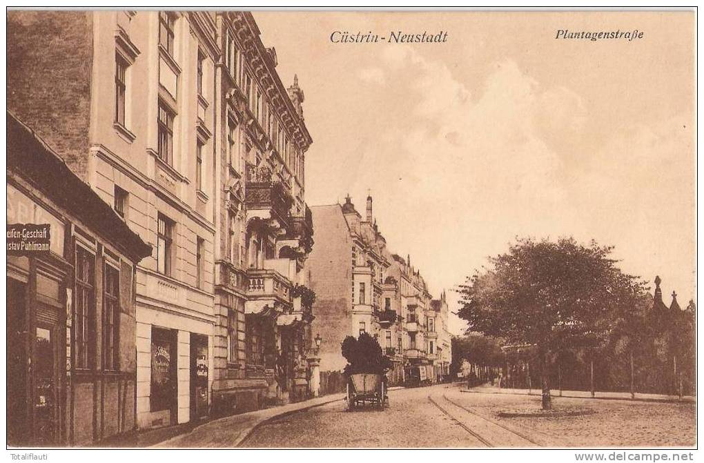 Küstrin Neustadt Plantagenstraße Pferdewagen Seifen Geschäft Gustav Puhlman Schlächterei Kostrzyn 26.5.1925 TOP-Erhaltun - Neumark