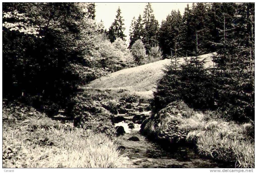 AK Schmiedefeld, Im Vessertal, Ung, 1960 - Schmiedefeld