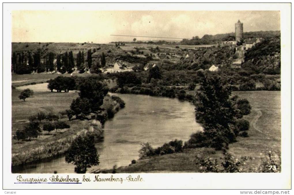 AK Naumburg-Saale, Burgruine Schönburg, Gel 1954 - Naumburg (Saale)