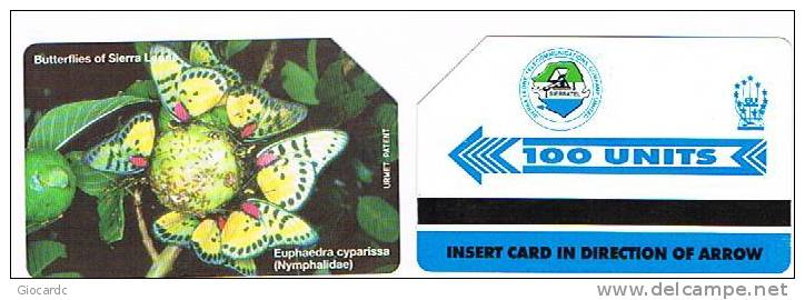 SIERRA LEONE  - SIERRATEL URMET -  FARFALLA ( BUTTERFLY): EUPHAEDRA CYPARISSA  (NYMPHALIDAE)  - USED - RIF. 846 - Farfalle