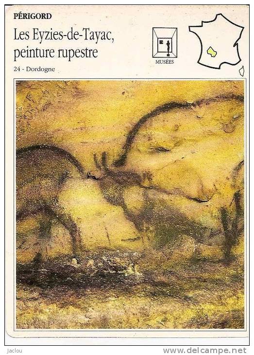 FICHE ILLUSTREE PERIGORD LES EYZIES DE TAYAC ,PEINTURE RUPESTRE ,MUSEE   REF 30302 - Histoire