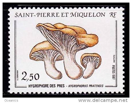 St-Pierre Et Miquelon YT 475 - Unused Stamps