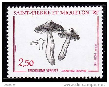 St-Pierre Et Miquelon YT 497 - Unused Stamps