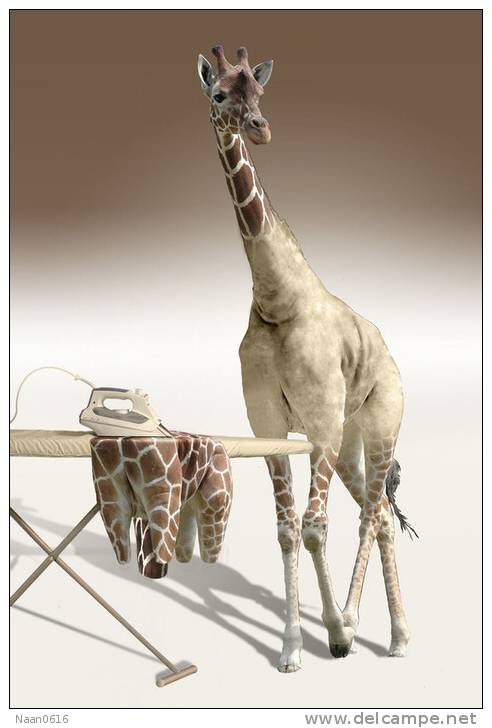 [NZ04-056   ]  Camelopardalis Giraffe  Girafe , Postal Stationery -Articles Postaux -- Postsache F - Girafes