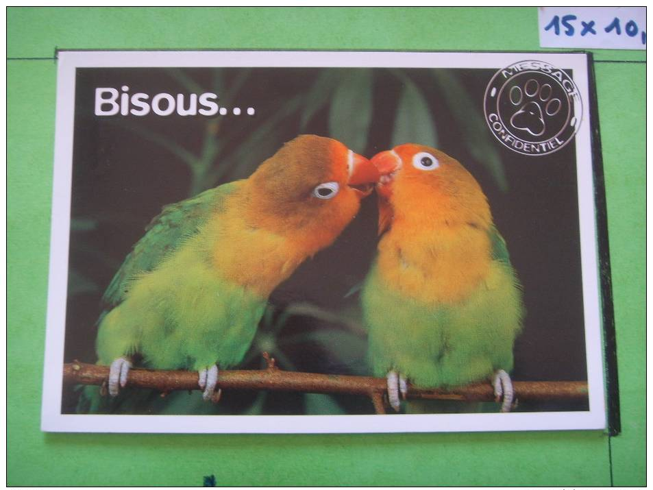 35 ) Oiseaux : Perruches : Humour : Bisous .............. - Birds