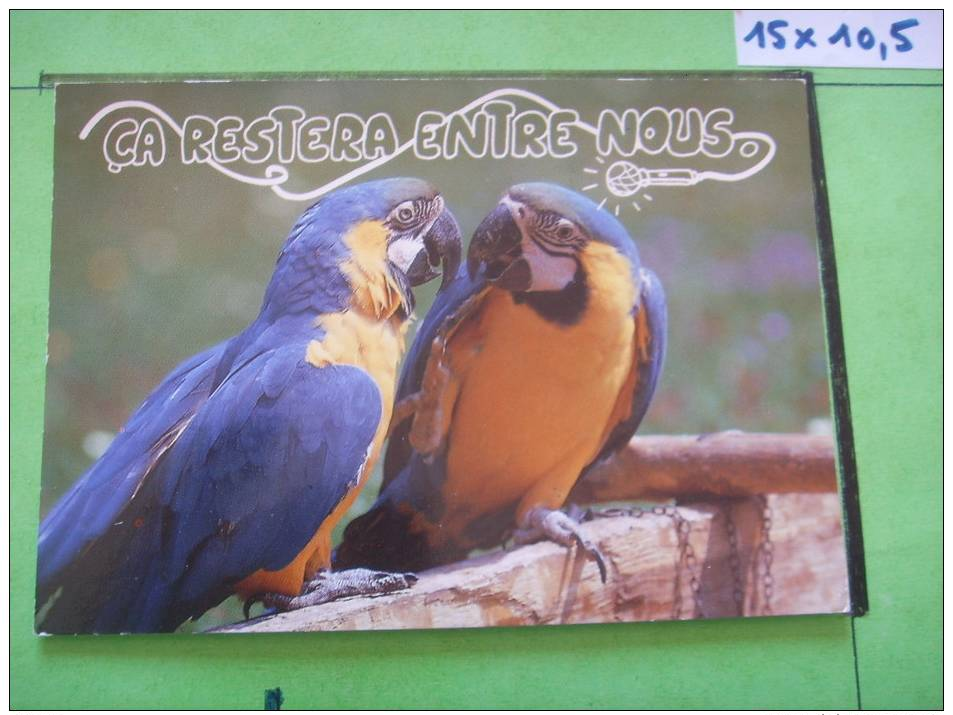 42 ) Oiseaux : Perroquets : Humour :on Restera........... - Oiseaux