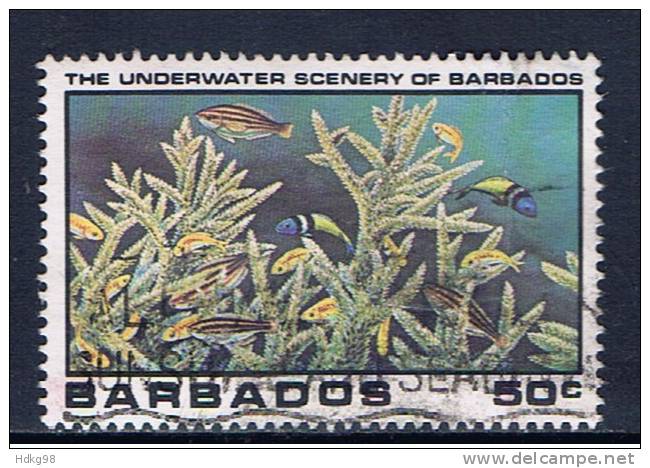 BDS+ Barbados 1980 Mi 516 Korallen - Barbades (1966-...)