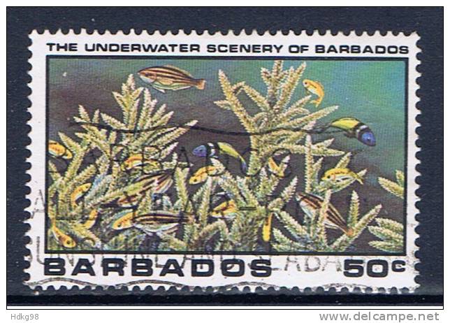 BDS+ Barbados 1980 Mi 516 Korallen - Barbades (1966-...)