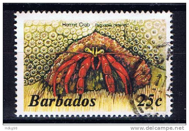 BDS+ Barbados 1985 Mi 622 Krabbe - Barbades (1966-...)