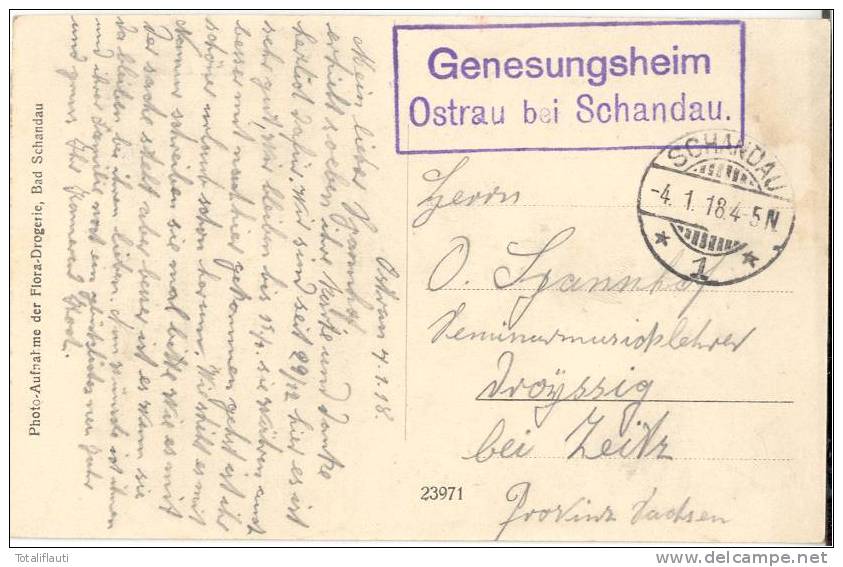 Ostrau Sachsen Bei Bad Schandau Genesungsheim Belebt Feldpost Formations Stempel 4.1.1918 Gelaufen - Bad Schandau