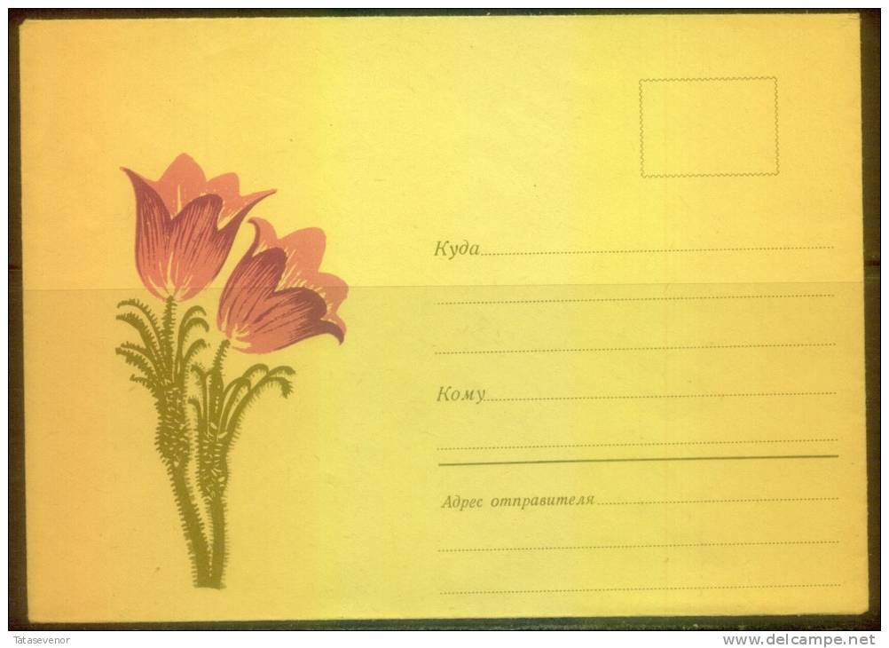 RUSSIA USSR Stationery USSR Be Zenklo 0035 Flowers - Sonstige & Ohne Zuordnung