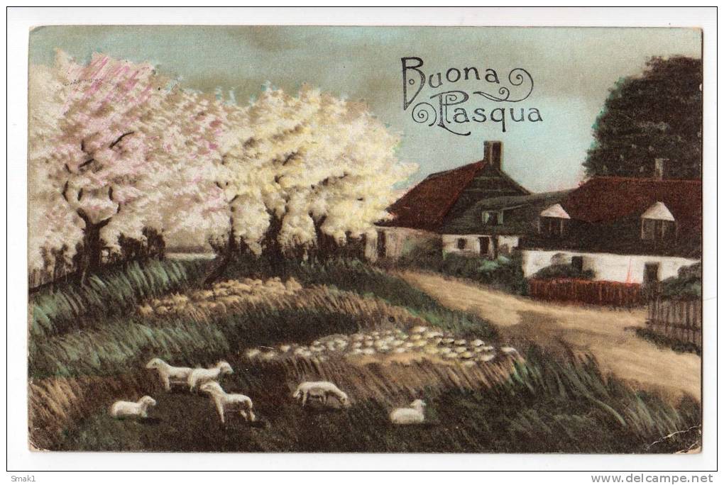 EASTER SHEEPS IN THE COUNTRY AMAG Nr. 0482 OLD POSTCARD - Easter