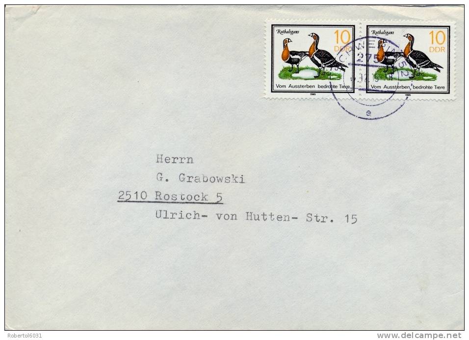 Germany DDR 1985 Cover Franked With 2 X 10 Pf. Bird Red-necked Goose - Oche