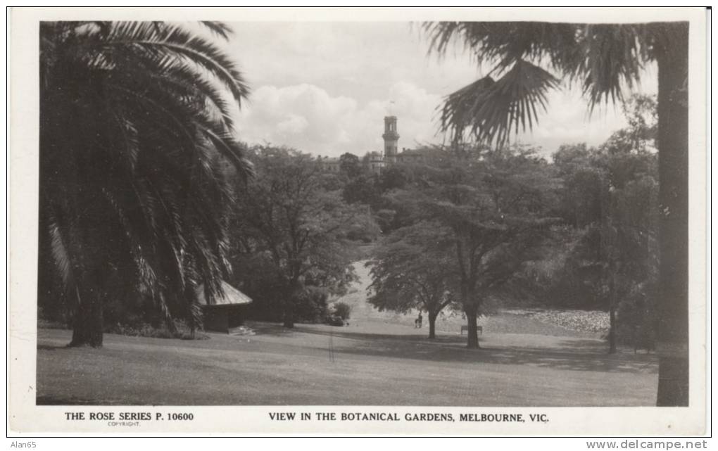 Melbourne Australia, Botanical Gardens, C1910s/30s? Vintage Real Photo Rose Series P 10600 Postcard - Melbourne