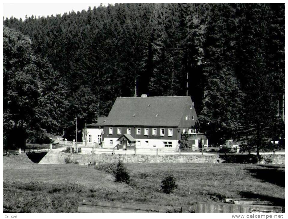 AK Seyde, Ferienheim Zwergbaude Des VEB Dresdner Süßwarenfabriken, Ung, 1962 - Altenberg