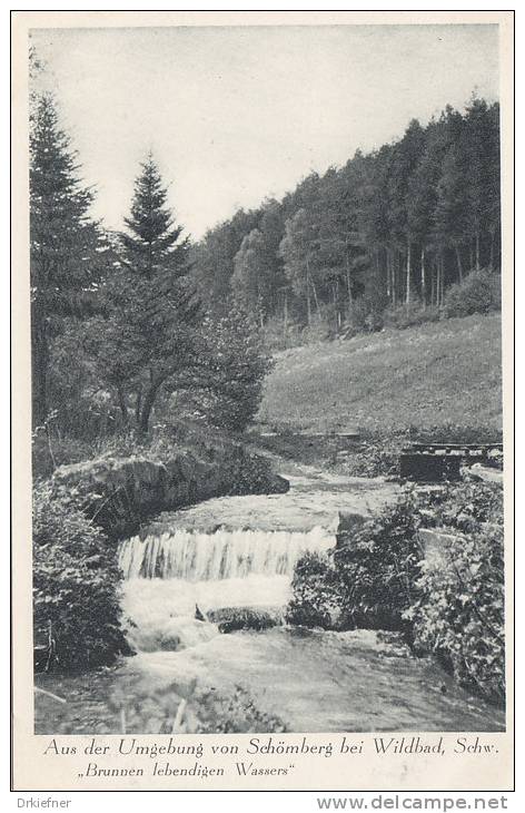 Schömberg, Schwarzw.,  Bach Am Waldrand,  Brunnen Lebendigen Wassers!, Um 1930 - Schömberg